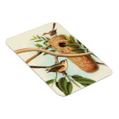 Magnet Flexible Couple d'oiseaux sur un nid perché sur une branche (Côté Droit)