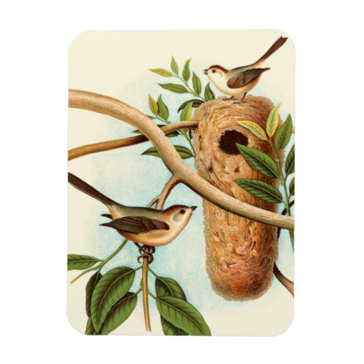 Magnet Flexible Couple d'oiseaux sur un nid perché sur une branche (Vertical)