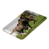 Magnet Flexible Courant de poulain (Côté Gauche)