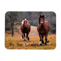 Courir Des Chevaux Être Le Leader