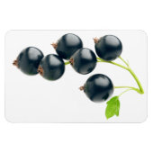 Magnet Flexible Cours noirs (Horizontal)