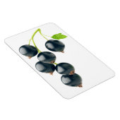 Magnet Flexible Cours noirs (Côté Droit)