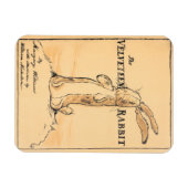Magnet Flexible Couverture du livre - Le lapin Velveteen (Horizontal)