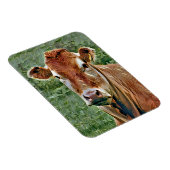 Magnet Flexible COW Cute (Côté Droit)