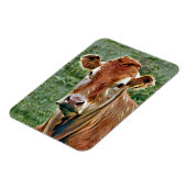 Magnet Flexible COW Cute (Côté Gauche)