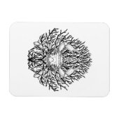 Magnet Flexible Crabe (Horizontal)