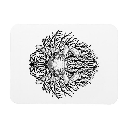 Magnet Flexible Crabe (Horizontal)