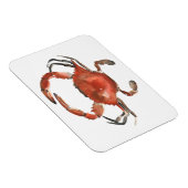 Magnet Flexible Crabe aquarelle - Rouge (Côté Droit)
