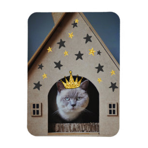 Magnet Flexible Crabe Drôle Chat Grincheux Photographie Amoureux d