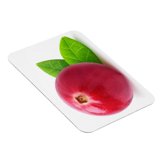 Magnet Flexible Cranberry (Côté Droit)