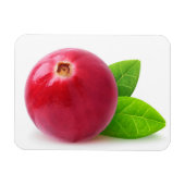 Magnet Flexible Cranberry (Horizontal)