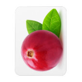 Magnet Flexible Cranberry (Vertical)