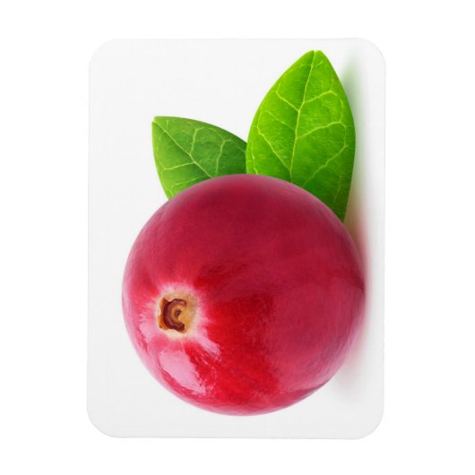 Magnet Flexible Cranberry (Vertical)