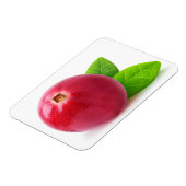 Magnet Flexible Cranberry (Côté Gauche)