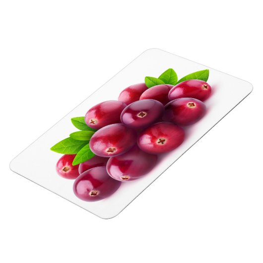 Magnet Flexible Cranberry (Côté Gauche)