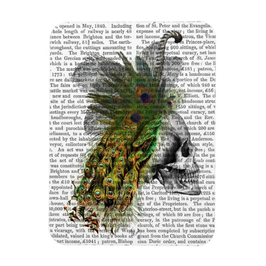 Magnet Flexible Crâne avec tête de plume (Vertical)