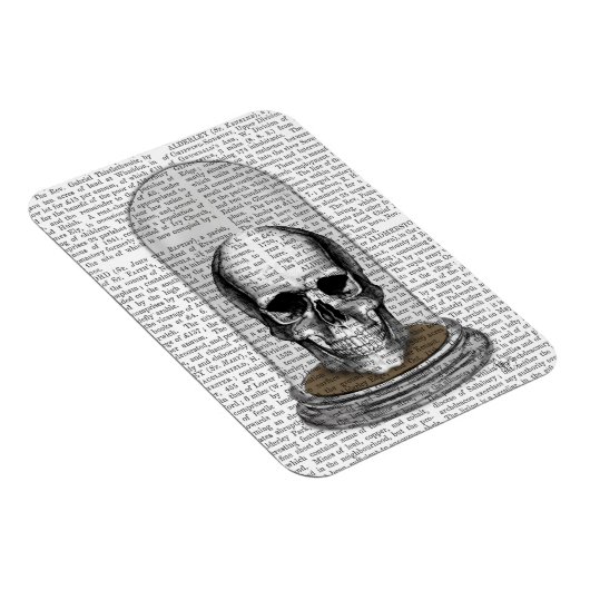 Magnet Flexible Crâne dans Bell Jar 2 (Côté Droit)