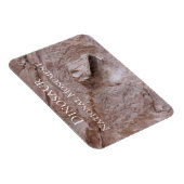 Magnet Flexible Crâne et squelette de Camarasaurus, Dinosaure, Uta (Côté Droit)