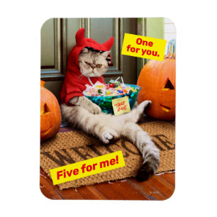 Magnet Flexible Cranky Devil Cat