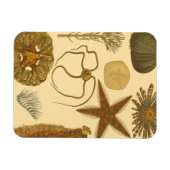 Magnet Flexible Créatures sous-marines (Horizontal)