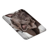 Magnet Flexible Créez votre propre réfrigérateur pour chien de com (Côté Droit)