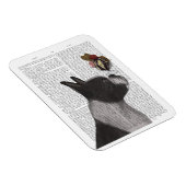 Magnet Flexible Crème glacée Boston Terrier (Côté Droit)