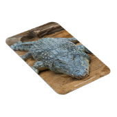 Magnet Flexible Crocodile (Côté Droit)