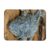 Magnet Flexible Crocodile (Horizontal)