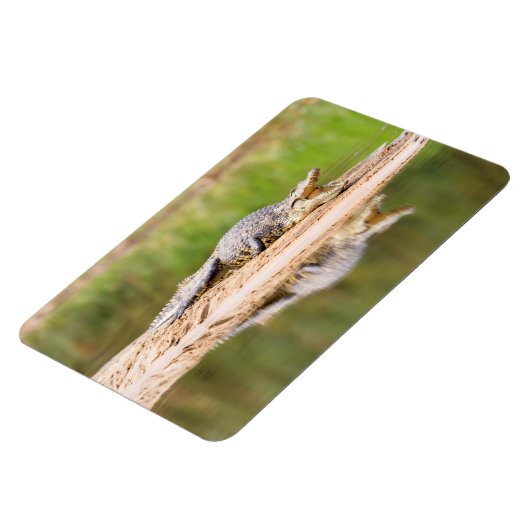 Magnet Flexible Crocodile (Côté Gauche)