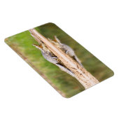 Magnet Flexible Crocodile (Côté Droit)