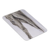 Magnet Flexible Crocodile 2005 (Côté Droit)