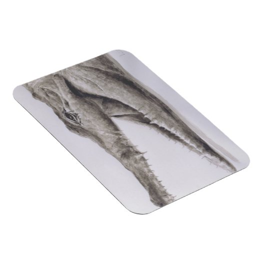 Magnet Flexible Crocodile 2005 (Côté Droit)