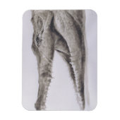 Magnet Flexible Crocodile 2005 (Vertical)