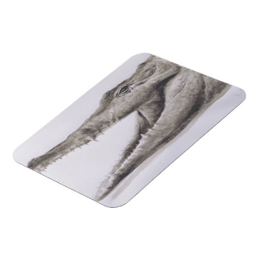 Magnet Flexible Crocodile 2005 (Côté Gauche)