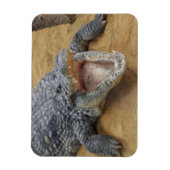 Magnet Flexible Crocodile avec mâchoires Large Ouvrir Gros plan (Vertical)