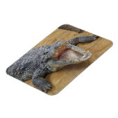 Magnet Flexible Crocodile avec mâchoires Large Ouvrir Gros plan (Côté Gauche)
