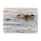 Magnet Flexible Crocodile du Nil (Horizontal)