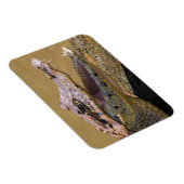Magnet Flexible Crocodile souriant (Côté Droit)