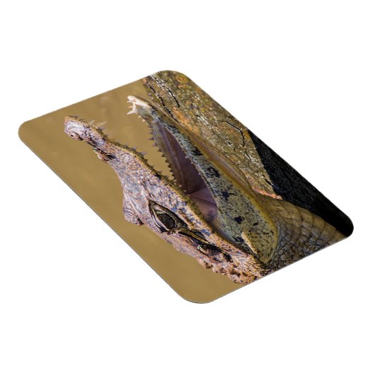Magnet Flexible Crocodile souriant (Côté Droit)