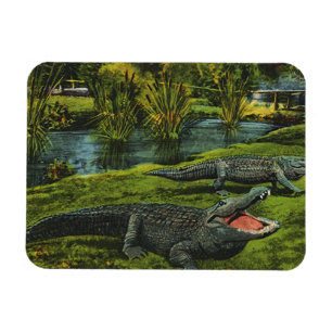 Magnet Flexible Crocodiles Anciens, Reptiles de la Vie Marine Anim