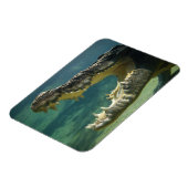 Magnet Flexible Crocodiles bouche ouverte (Côté Gauche)