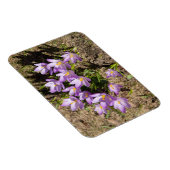 Magnet Flexible Crocus de printemps mignons (Côté Droit)