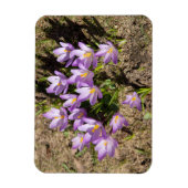 Magnet Flexible Crocus de printemps mignons (Vertical)