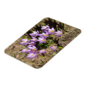 Magnet Flexible Crocus de printemps mignons (Côté Gauche)