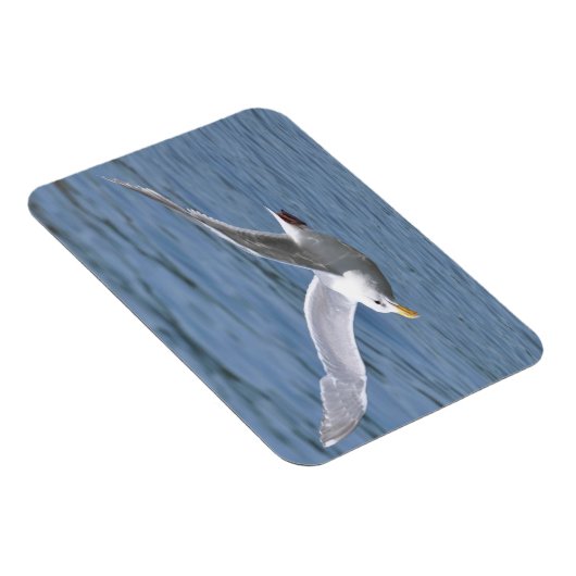 Magnet Flexible Croisière sur mer (Côté Droit)