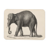 Magnet Flexible Croquis Brodtmann Elephant (Horizontal)