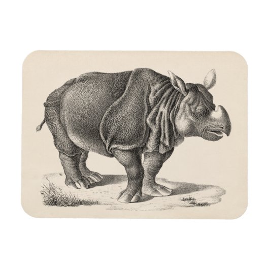 Magnet Flexible Croquis Brodtmann Rhinoceros (Horizontal)