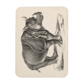 Magnet Flexible Croquis Brodtmann Rhinoceros (Vertical)