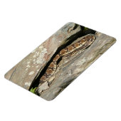 Magnet Flexible Crotale à Shenandoah National Park (Côté Gauche)
