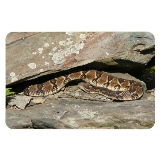 Magnet Flexible Crotale à Shenandoah National Park (Horizontal)
